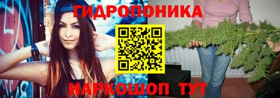 скорость Аргун