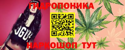 скорость Аргун