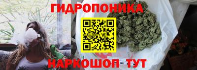 скорость Аргун