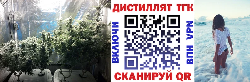 мега вход  Тейково  ТГК Wax 